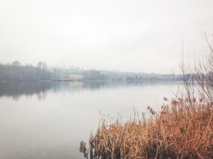 lake-in-autumn