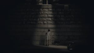 stag-fullscreen-intro